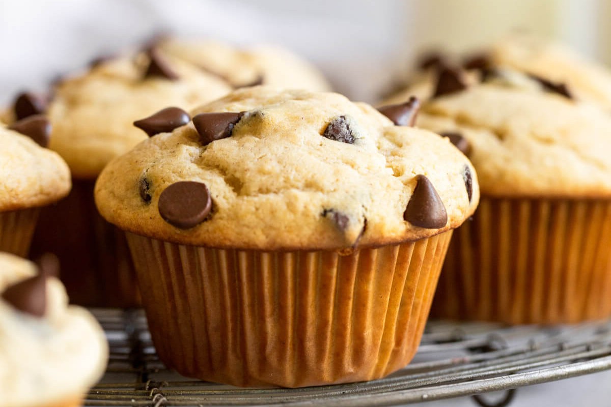 chocolate-chip-muffins-recipe