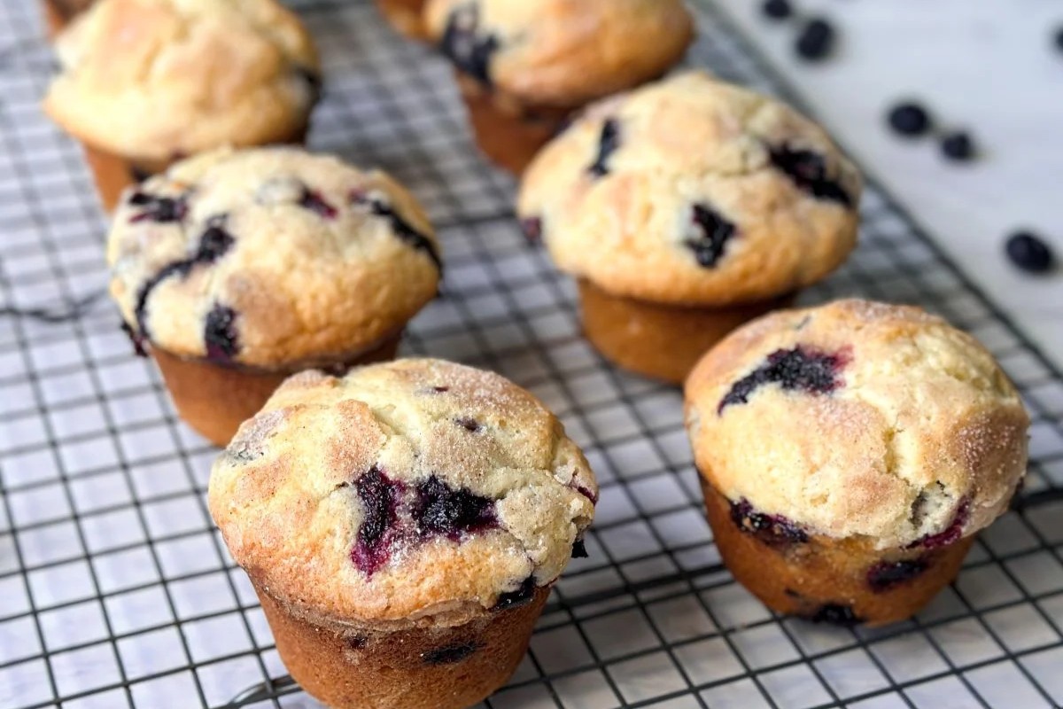 lemon-blueberry-muffins-recipe